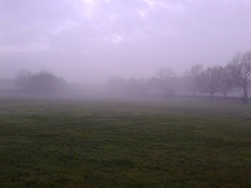 bifaeries:  08:07 - you could barely see 15 feet in front of you 