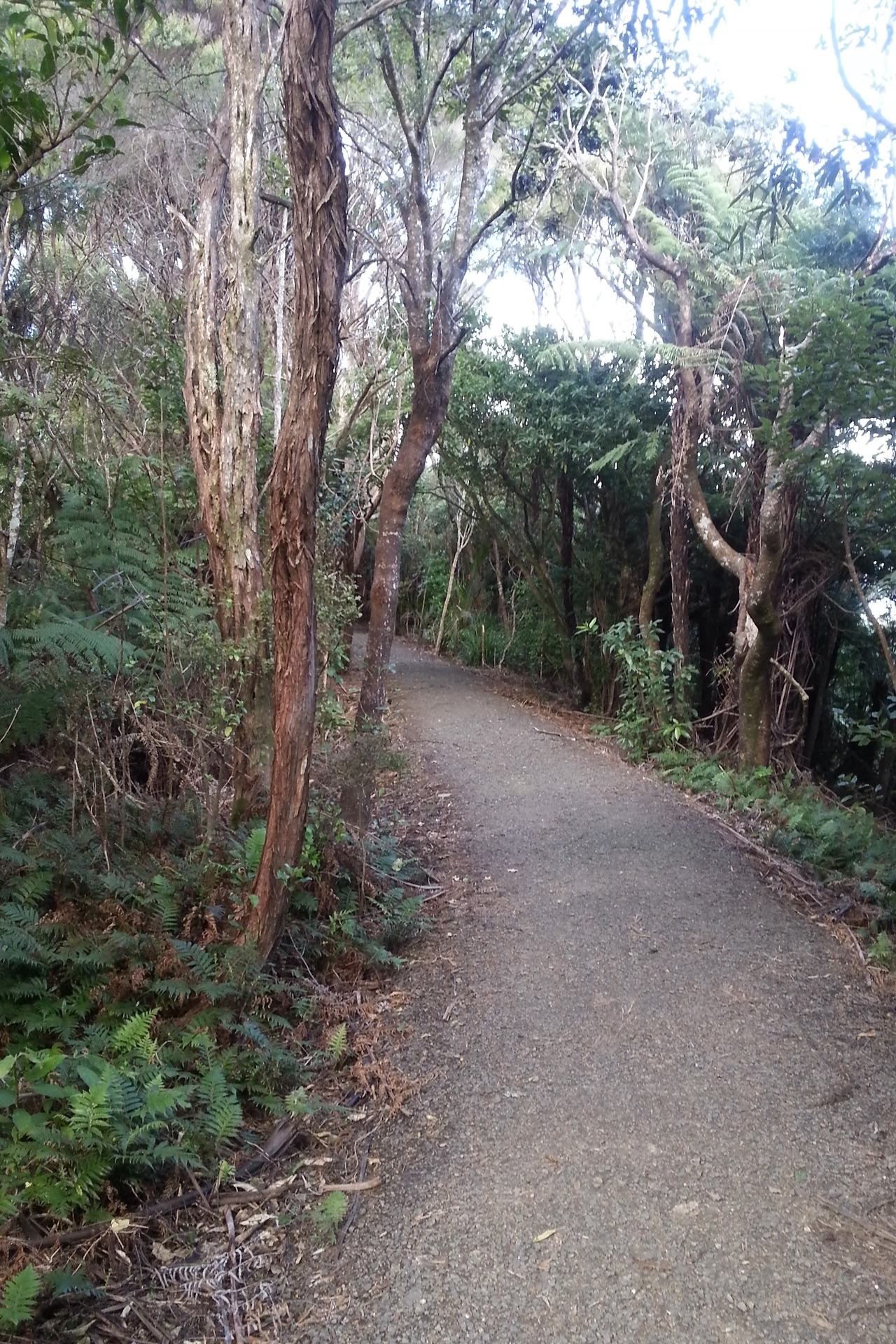 oh-haroo:   Walk with the girlfriend through Arataki :) Follow me for more vertical