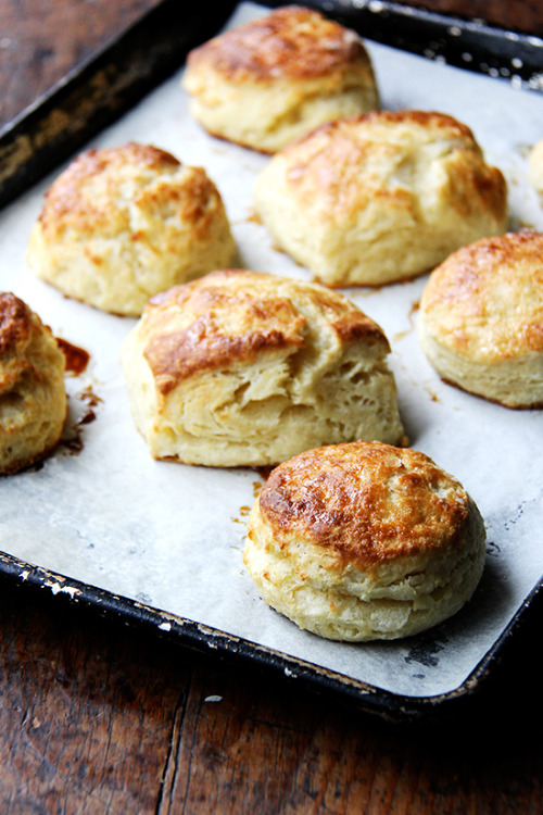 Porn Pics huffposttaste:  Biscuits for dayz.