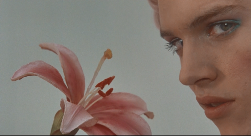Bluen3Hey:  1998   Velvet Goldmine  