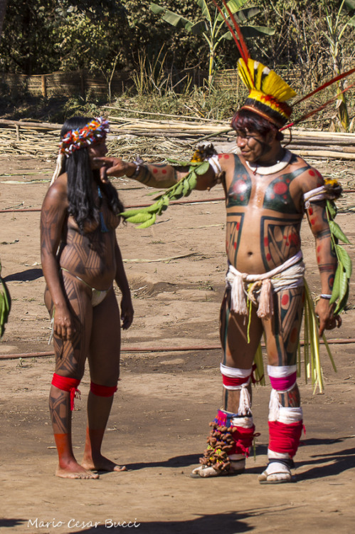 Porn Pics   Encontro de culturas tradicionais da chapada