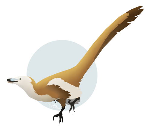 i-draws-dinosaurs:Velociraptor “Knife Bird” mongoliensis.Well, it’s been a while since I took a stab