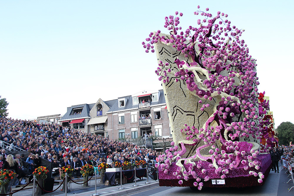 mommapolitico:  culturenlifestyle:  Annual Parade in the Netherlands Pays Homage