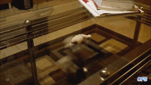thefrogman:  [video]