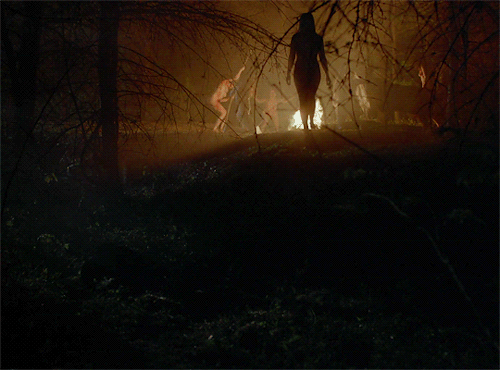 horrorgifs:THE WITCH (2015) dir. Robert Eggers