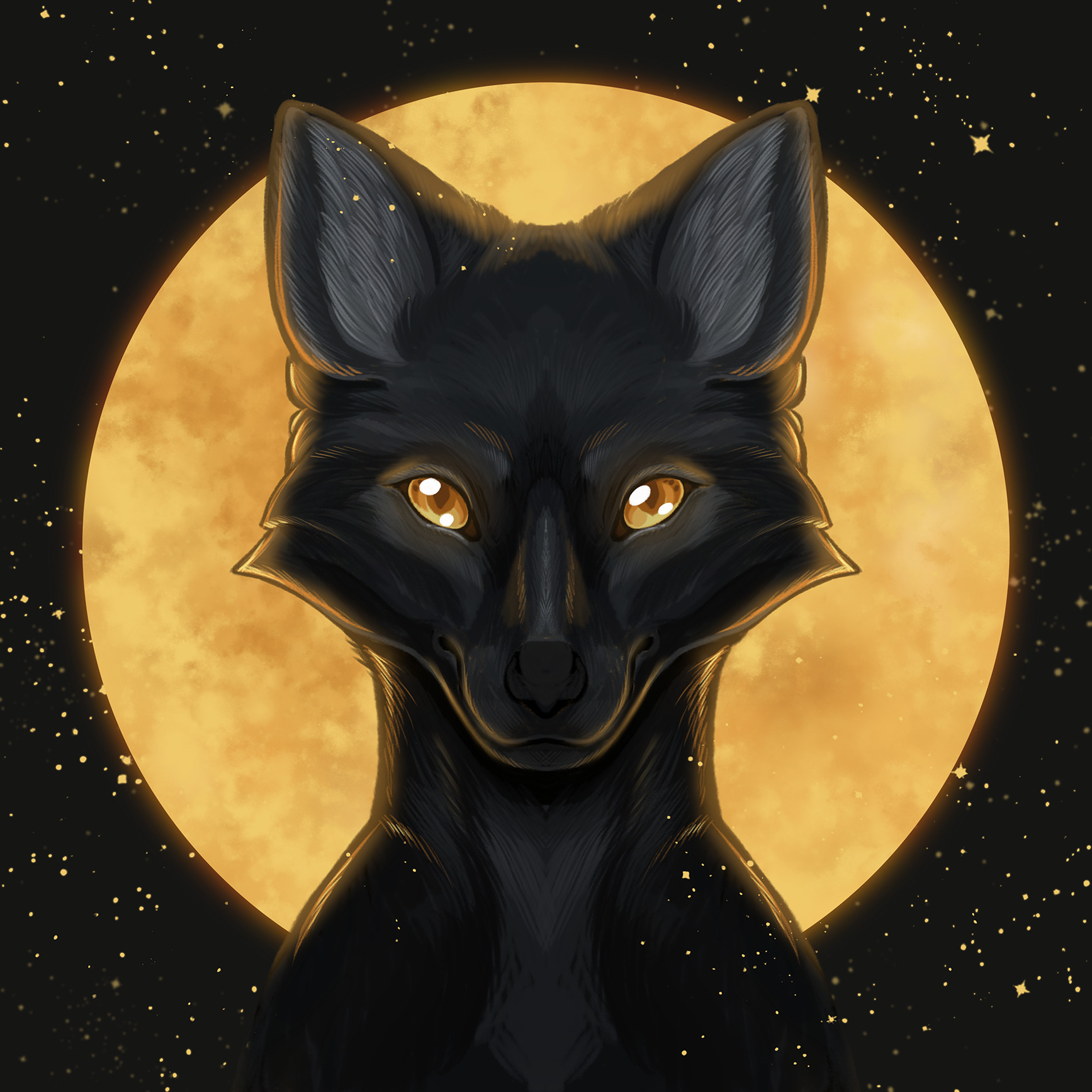 Black fox tumblr