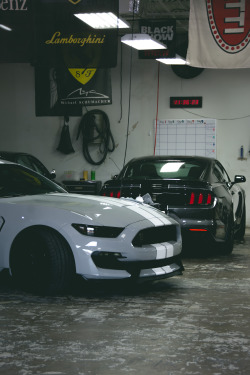 zaubererr:  GT350′s