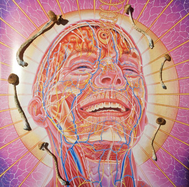 where is my mind?﻿