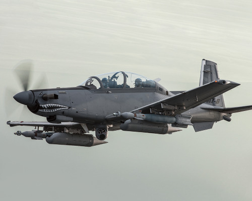 militaryarmament: Beechcraft T-6 Texan II.