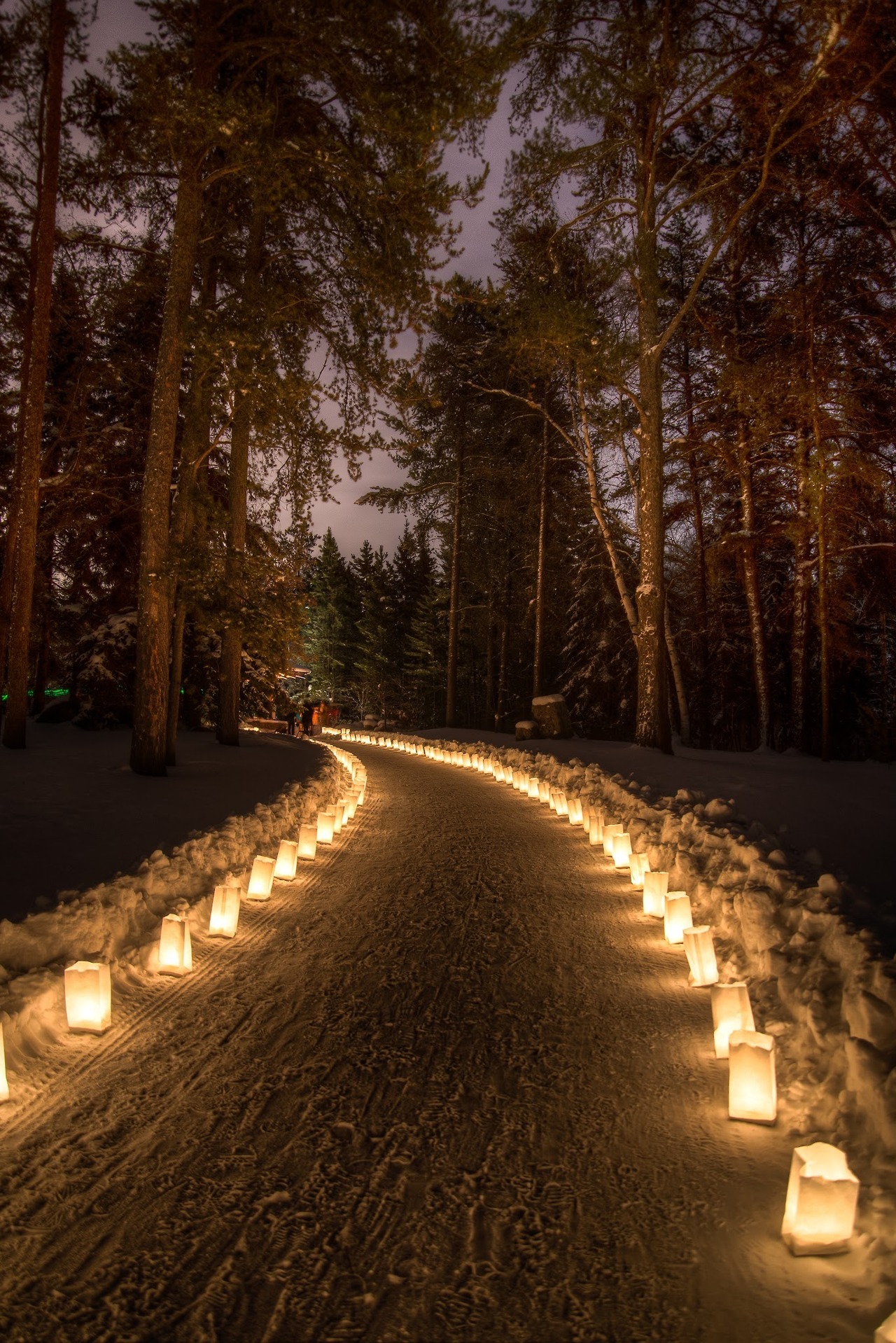 bluepueblo:  Snow Lane, Alberta, Canada photo via heyfiki 