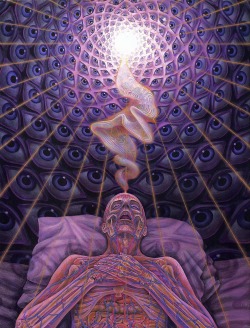 starlightintheeast:  Alex Grey - Dying