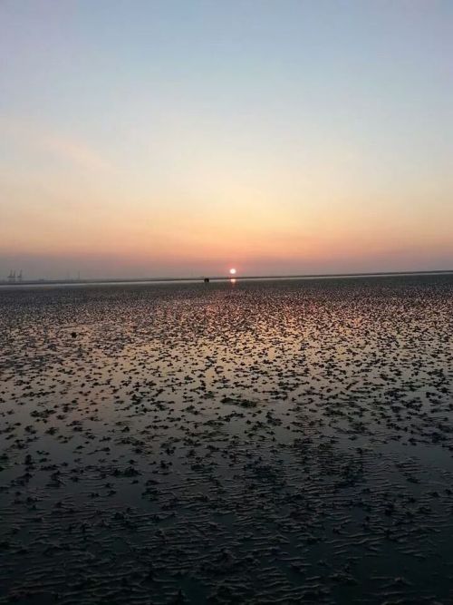 https://aselg01.tumblr.com/post/108651415227