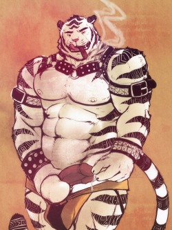 hotmonsterxxx:  white tigers