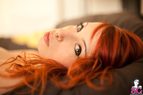  Euforia Suicide  adult photos