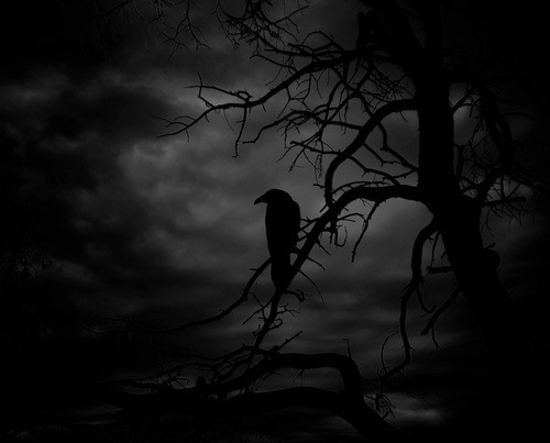 We were born to die!!