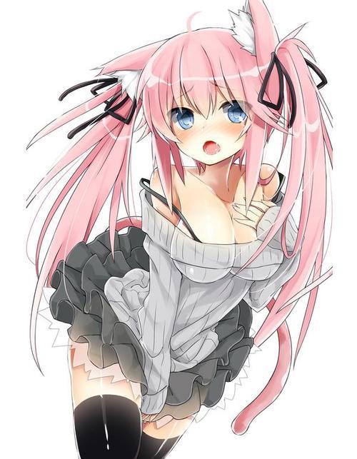 ecchifortheplot:  Neko-chan doesn’t like you at all! Baka!  ~ecchi-stuff-time~