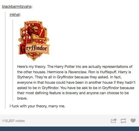 ungratefullittleshit:  Times Tumblr Raised Serious Questions About “Harry Potter” 