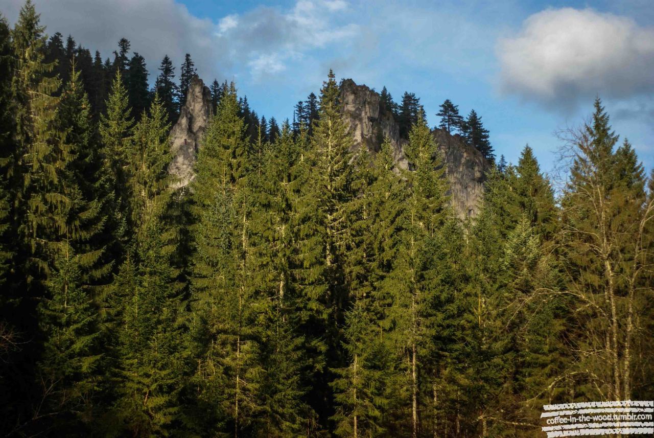 Chochołowska valley. Can you spot the climber in action? ;)
/
Dolina Chochołowska. Kto widzi Taternika? ;)