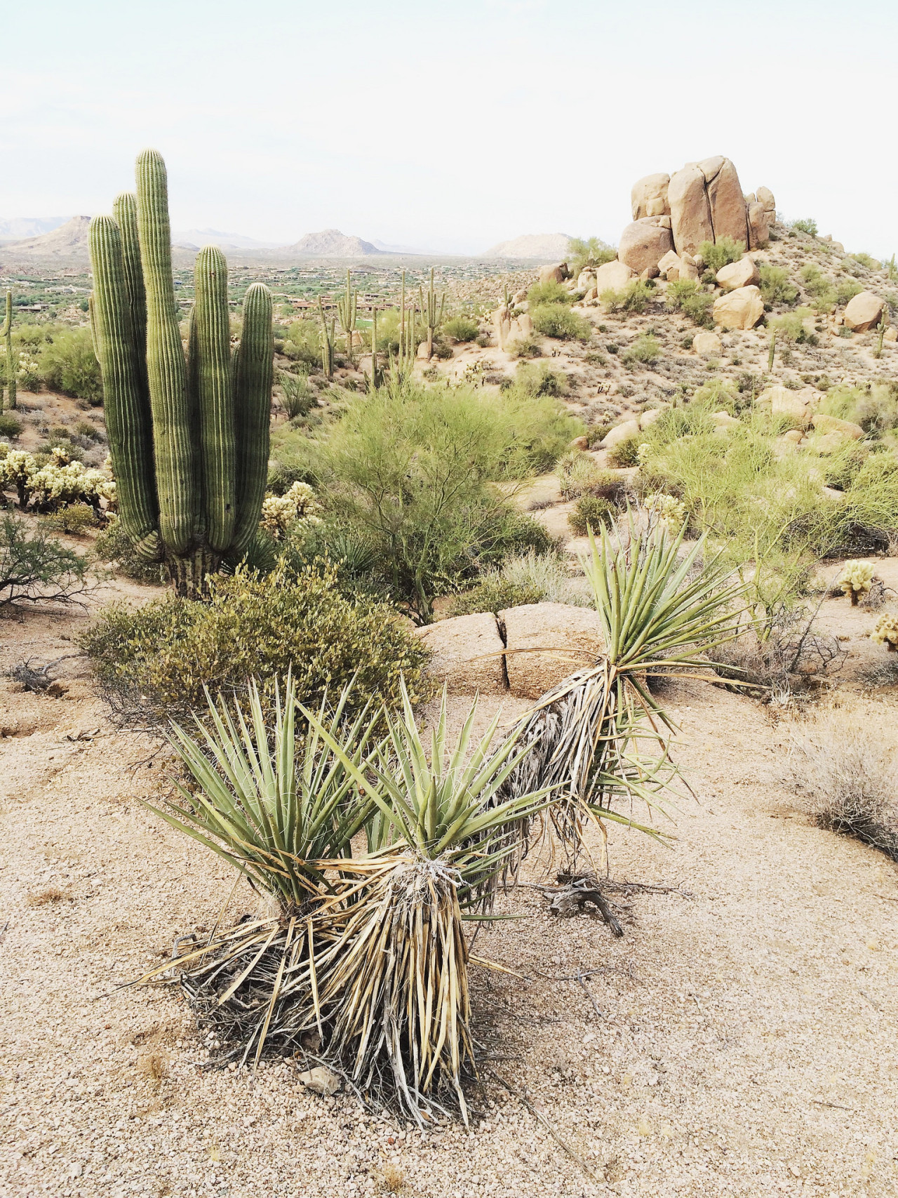 jakedebruyckere:  Desert Vibes - iPhone    Instagram     VSCO Grid     Portfolio