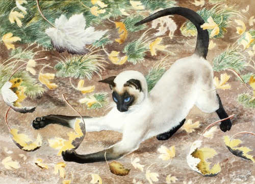 antiqueanimals: Charles Frederick Tunnicliffe (1901 - 1979)