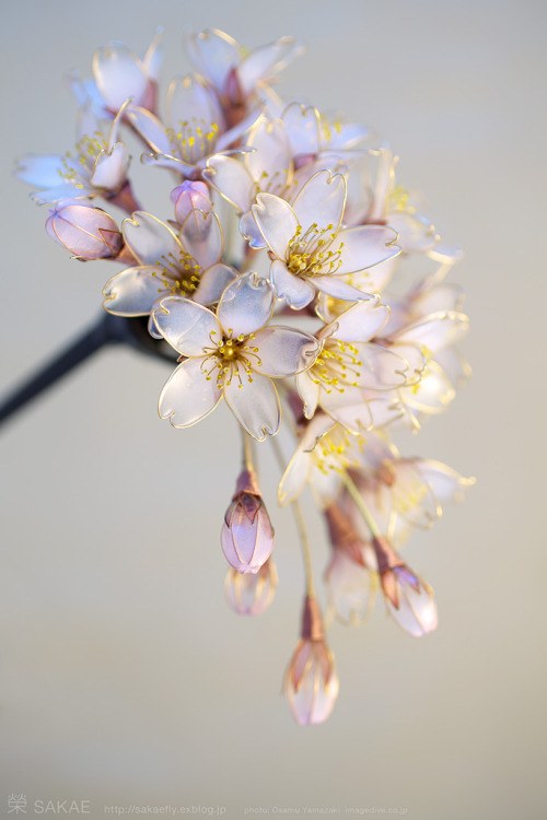 systlin:ninemoons42:vraieronique-blog:Small wonders for chignon by SAKAEOf course I’ll always reblog