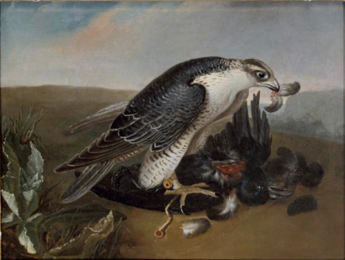dutch-and-flemish-painters