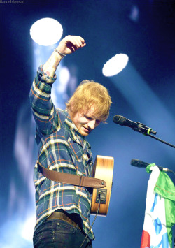 flannelsheeran:[x]