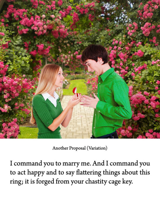 This captions is called “Another Proposal”, since I already had a caption titled “The Proposal”.