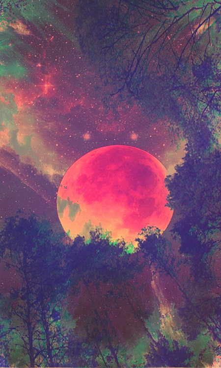 for_ever_clear