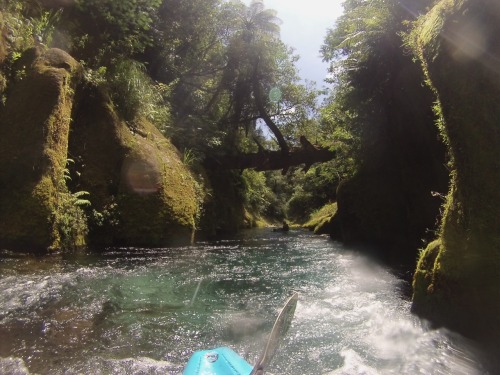 Paddled the most amazing river on the planet on Saturday! Waiari Gorge is spring fed and so clean yo