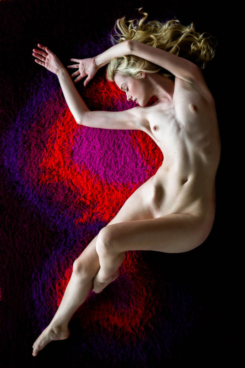 pig-island:  Olivia in the carpetmodel: oliviapreston3Masabu   masabu.com
