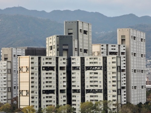 tamazo2: 芦屋浜団地（1979〜82） 兵庫県芦屋市 2017