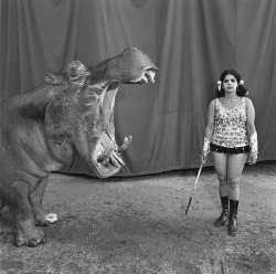 Mary Ellen Mark - Hippopotamus and Performer. Great Rayman Circus, Madras, India 1989.