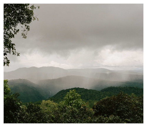  Cairns // Australia by Luke Porter 