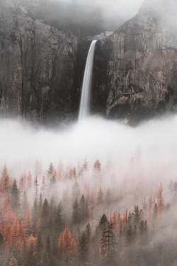 banshy:  Yosemite National Park by: BeJamin 