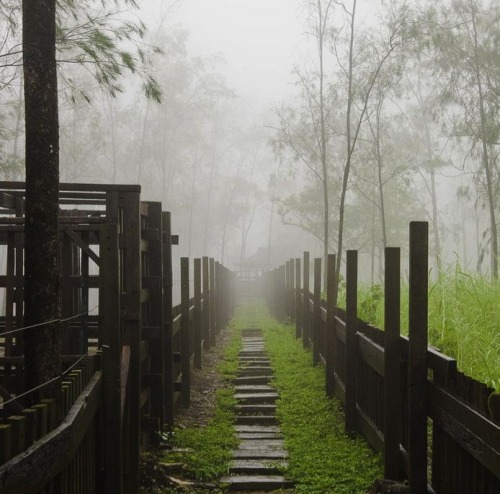 Foggy Morning Aes