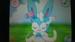 fano-tastic:  *UPDATED* 2014 SHINY POKEMON GIVEAWAY Let’s start off the new year with a giveaway! The following pokemon are listed for the giveaway. Shiny Female Sylveon Shiny Female Eevee Shiny Sliggoo Shiny Frogadier Shiny Rapidash Shiny Chandelure