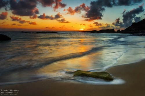 Photographer Miguel Nóbrega (Portugal)  500px 