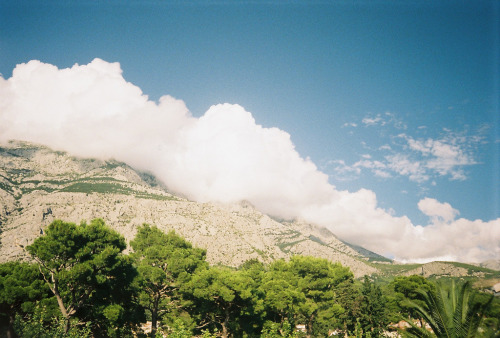 454p:  biokovo 