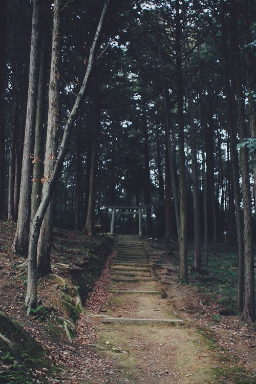 brutalgeneration:  Tumblr on We Heart It. http://weheartit.com/entry/63203733