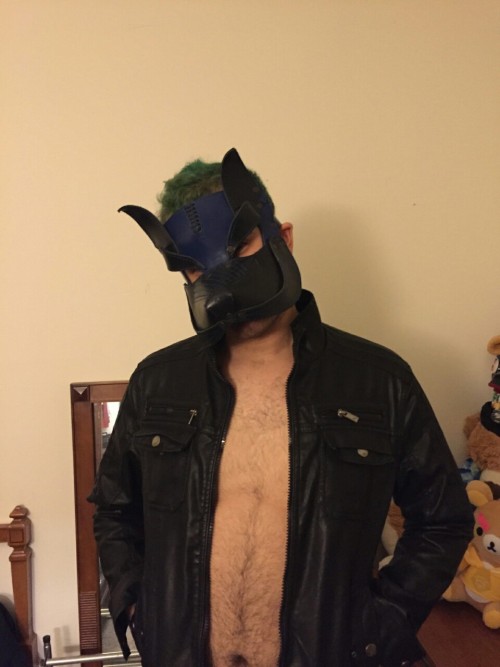 Porn photo bimasterdax:My playful pup wearing my leather