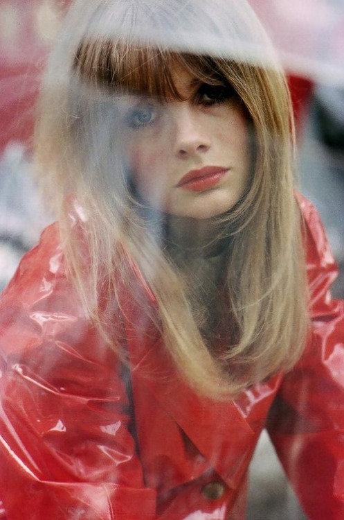 Jean Shrimpton