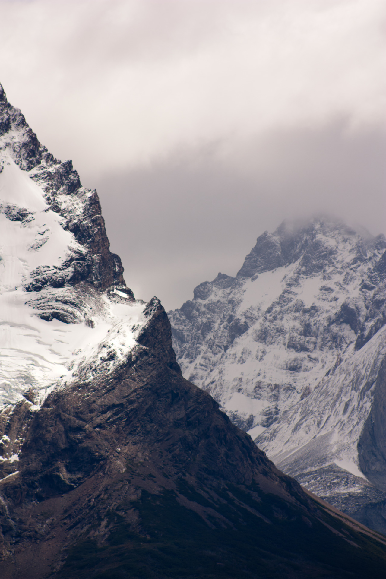 theencompassingworld:  wanderingredleaves:     	Natalia Altamirano 	  	 				 					
