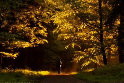 morethanphotography:  sunday morning by Timo_Tomkel 