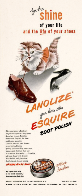 Esquire Boot Polish, 1950