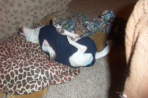   Molly and her &lsquo;diaper&rsquo; suit after having her teeth done and