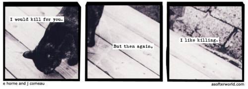 A Softer World: 1191
(I would die for you. But then again, I like dying.)
buy this print • become our patron