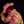 stellarboystyles:reblog with who took your concert virginity in the tags