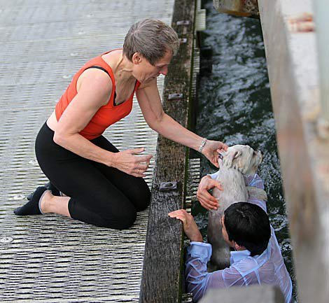 derekisme:  Heroic Male Model Strips To Save Drowning Dog Sue Drummond and her Maltese-Shih