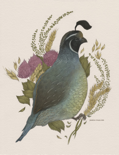 It&rsquo;s a quail! This took me far too long to complete because I&rsquo;m recovering from mono, bu
